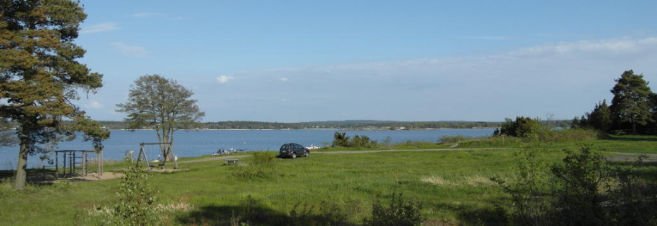 Treningsløp 18. august - Larkollen Øst / Møvig